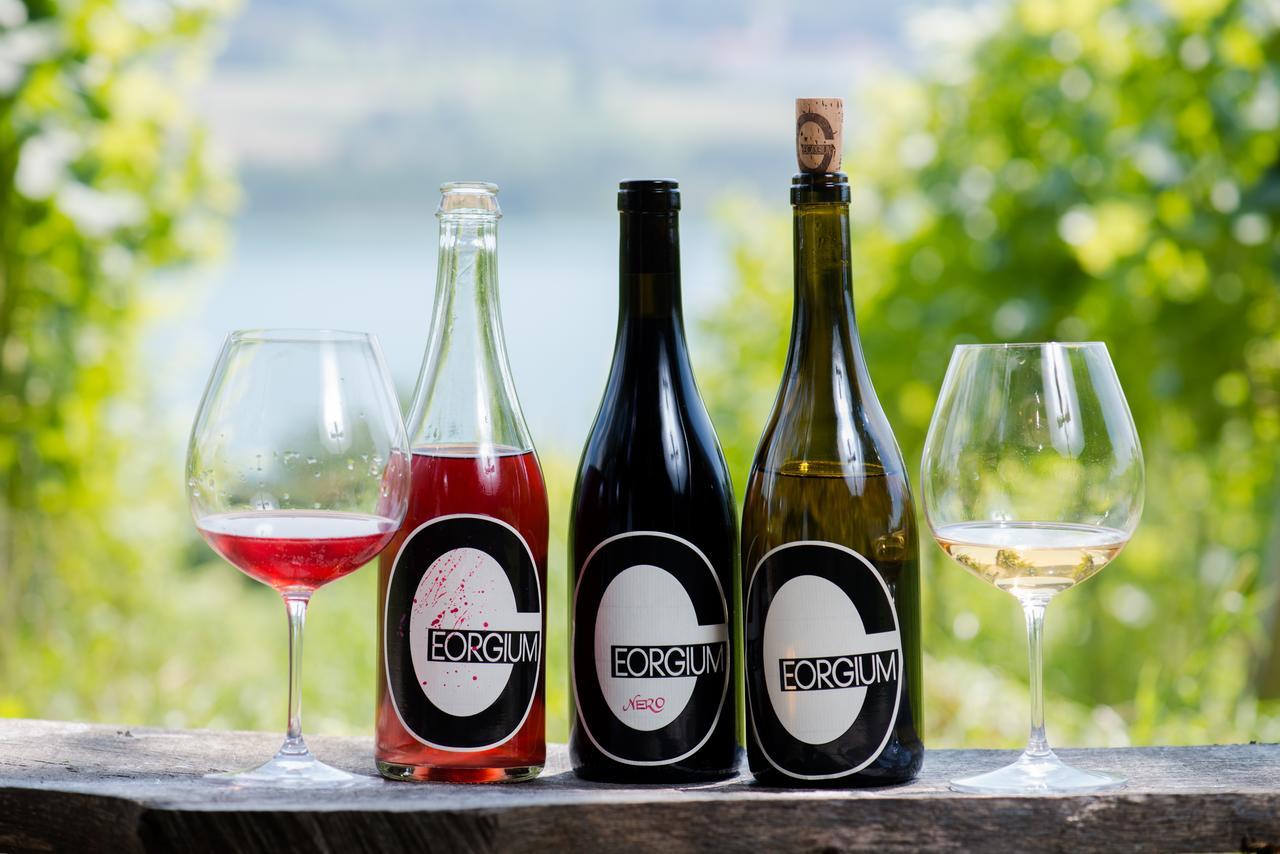 Weingut Georgium Bed & Breakfast Sankt Georgen am Längsee Dış mekan fotoğraf